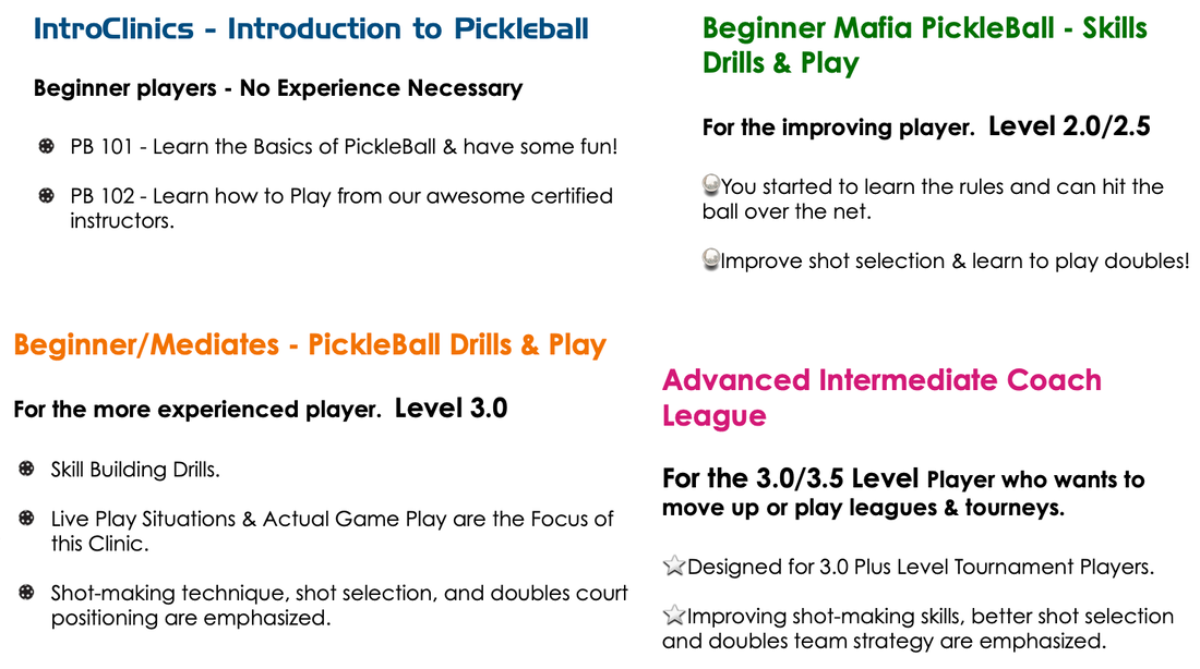 picleball lessons charleston sc